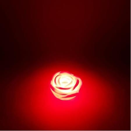 Led Işıklı Gül Mum